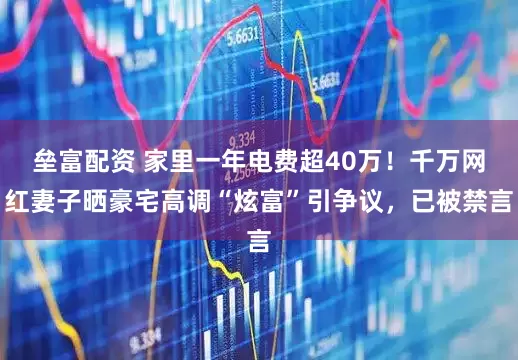 垒富配资 家里一年电费超40万！千万网红妻子晒豪宅高调“炫富”引争议，已被禁言