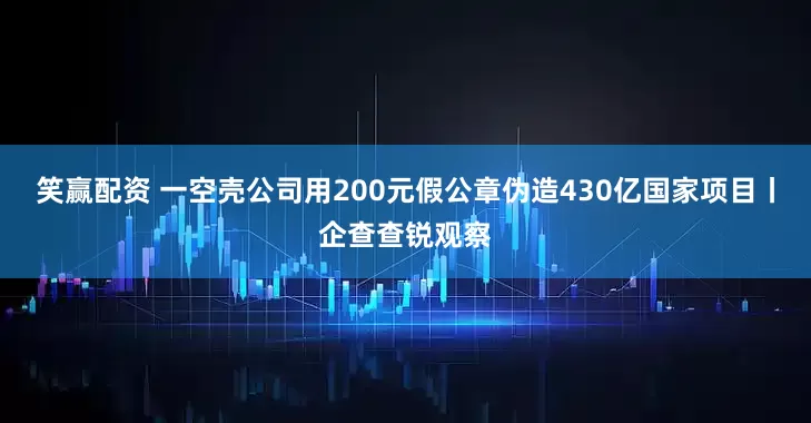 笑赢配资 一空壳公司用200元假公章伪造430亿国家项目丨企查查锐观察